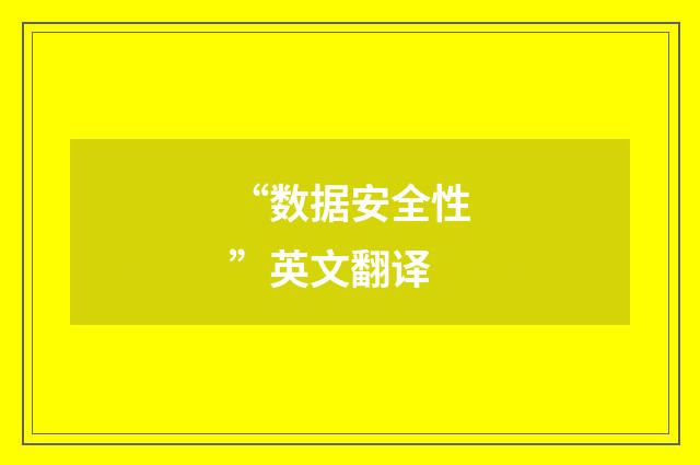 “数据安全性”英文翻译