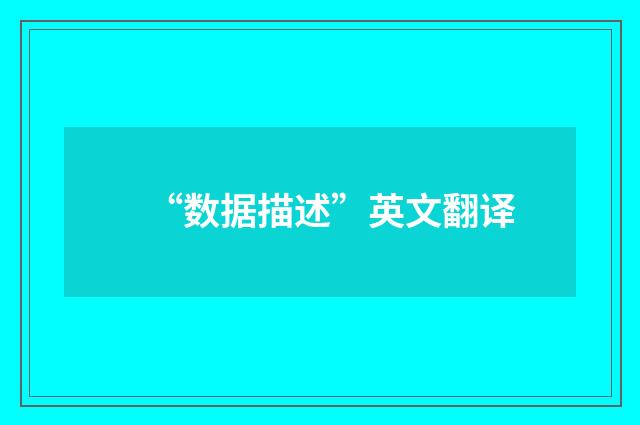 “数据描述”英文翻译
