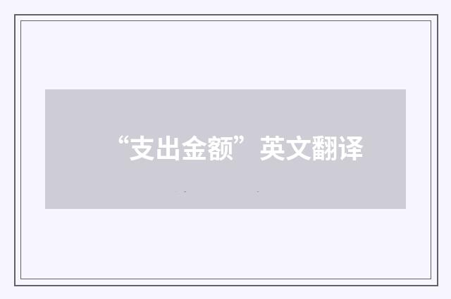 “支出金额”英文翻译