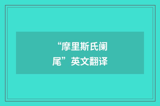 “摩里斯氏阑尾”英文翻译