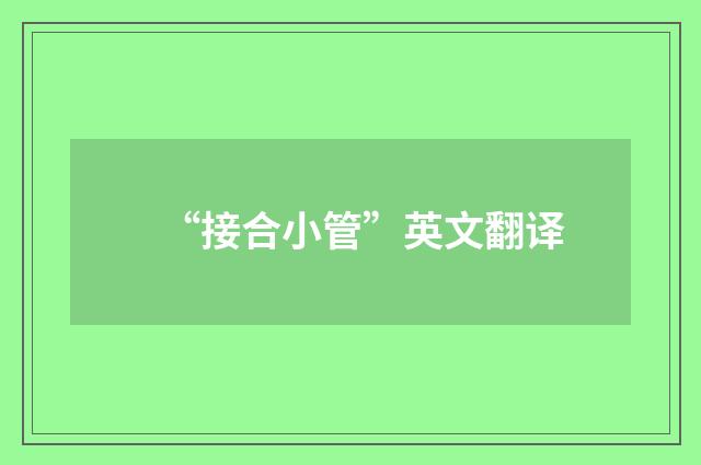 “接合小管”英文翻译