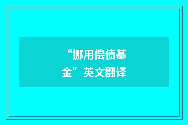 “挪用偿债基金”英文翻译