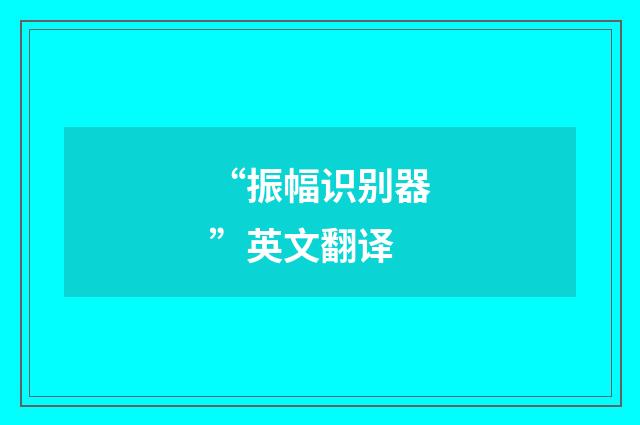“振幅识别器”英文翻译