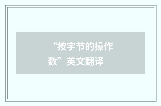 “按字节的操作数”英文翻译