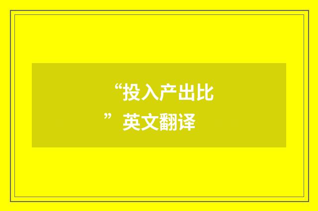“投入产出比”英文翻译