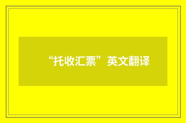 “托收汇票”英文翻译