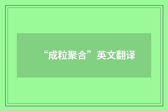 “成粒聚合”英文翻译
