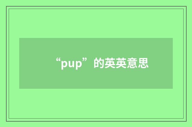 “pup”的英英意思