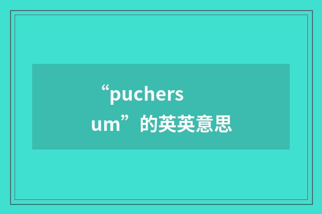 “puchersum”的英英意思