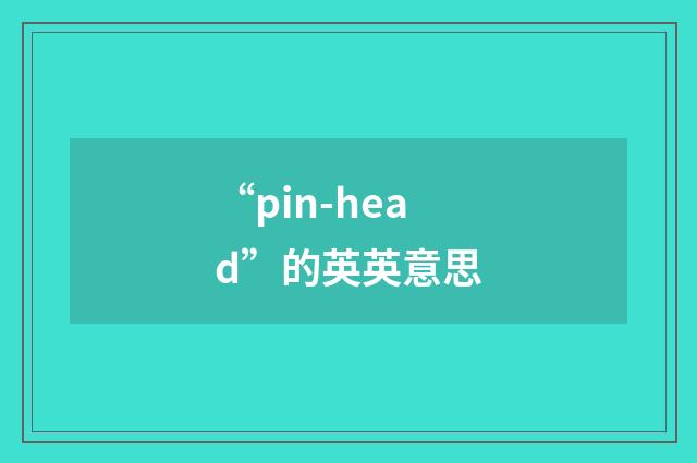 “pin-head”的英英意思