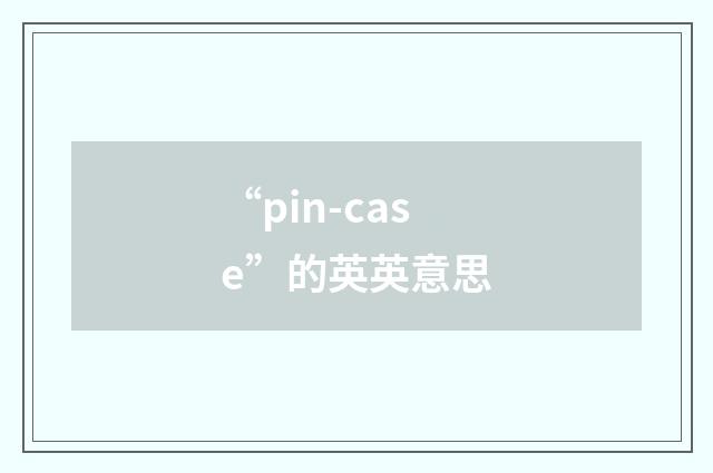 “pin-case”的英英意思