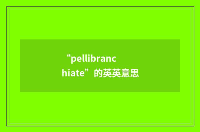 “pellibranchiate”的英英意思