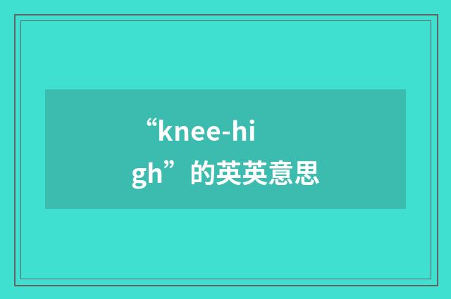 “knee-high”的英英意思