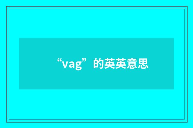 “vag”的英英意思