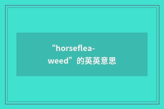 “horseflea-weed”的英英意思