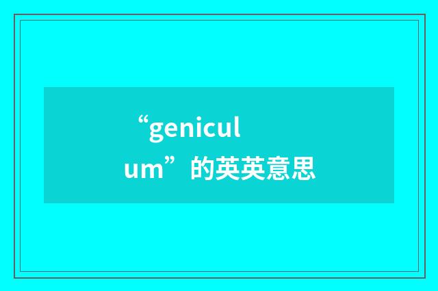 “geniculum”的英英意思
