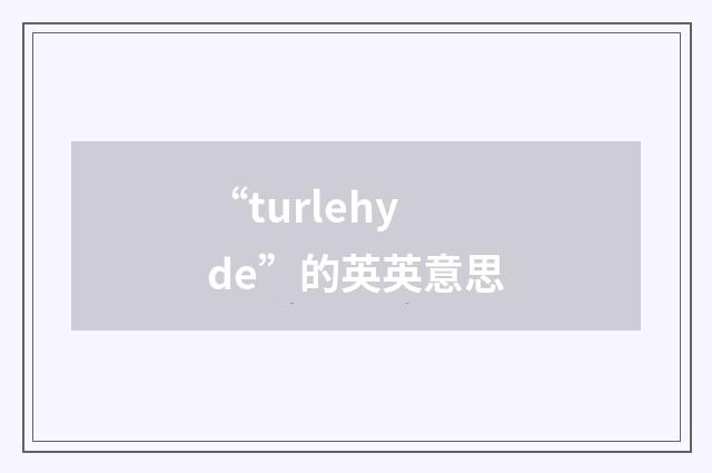 “turlehyde”的英英意思