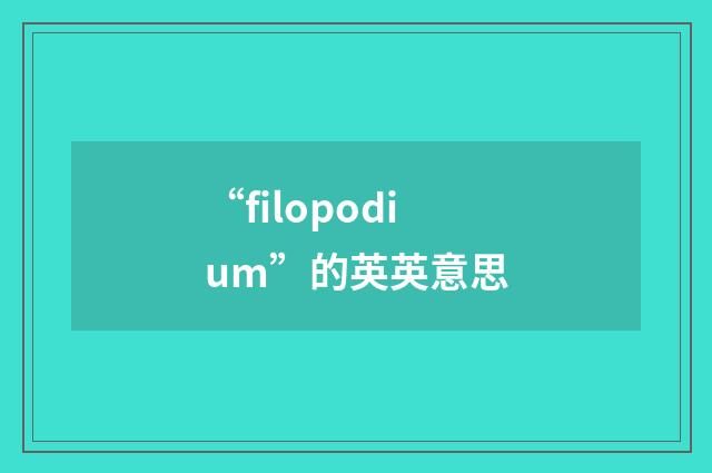 “filopodium”的英英意思