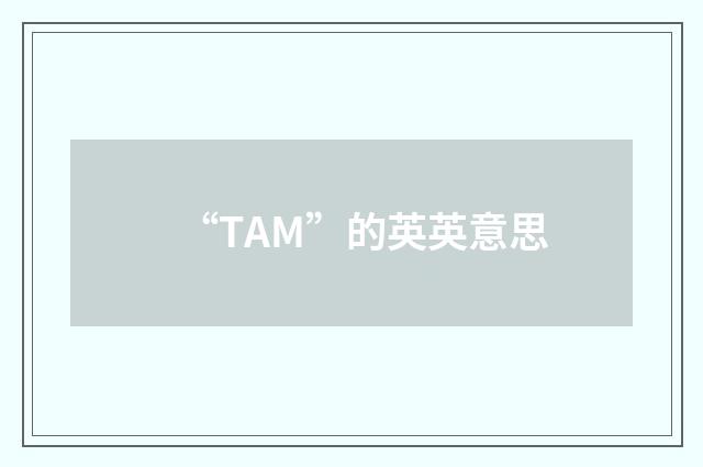 “TAM”的英英意思
