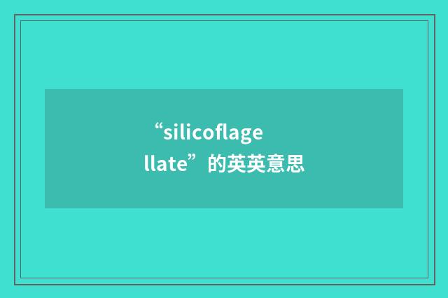 “silicoflagellate”的英英意思