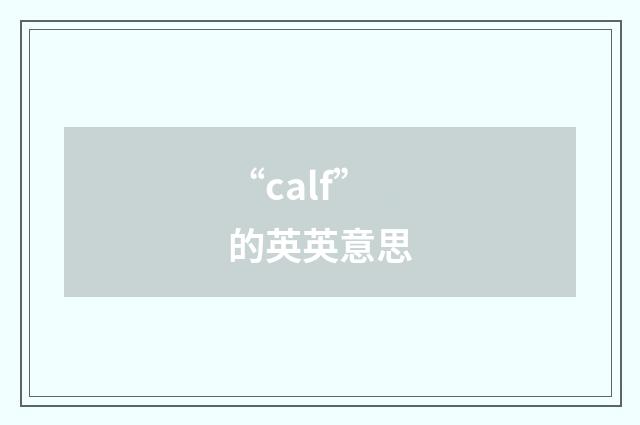 “calf”的英英意思