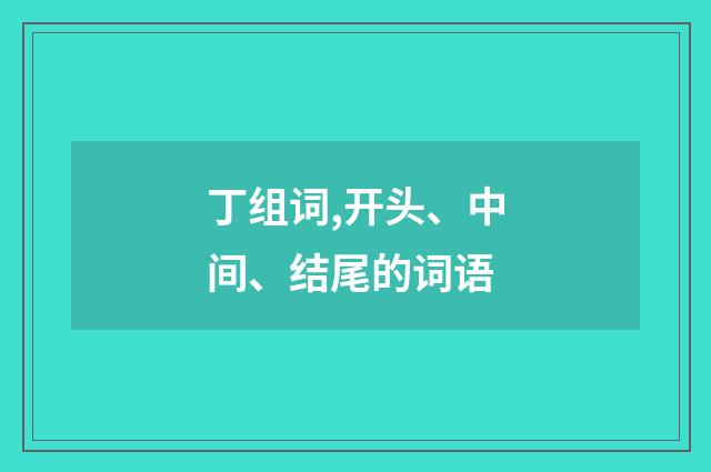 丁组词,开头、中间、结尾的词语