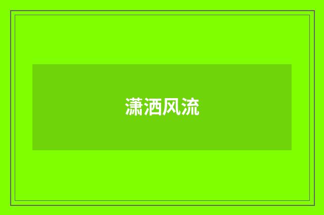 潇洒风流