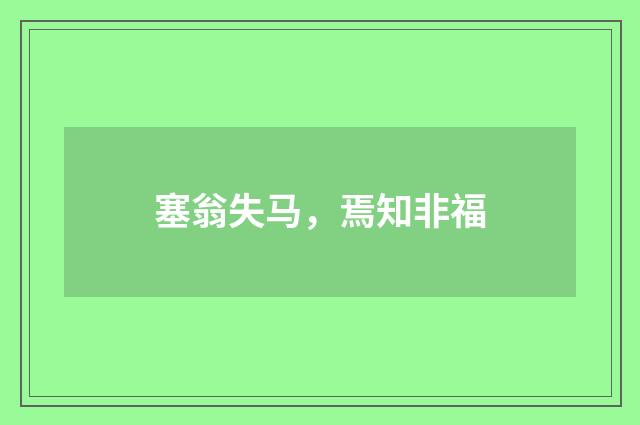 塞翁失马，焉知非福