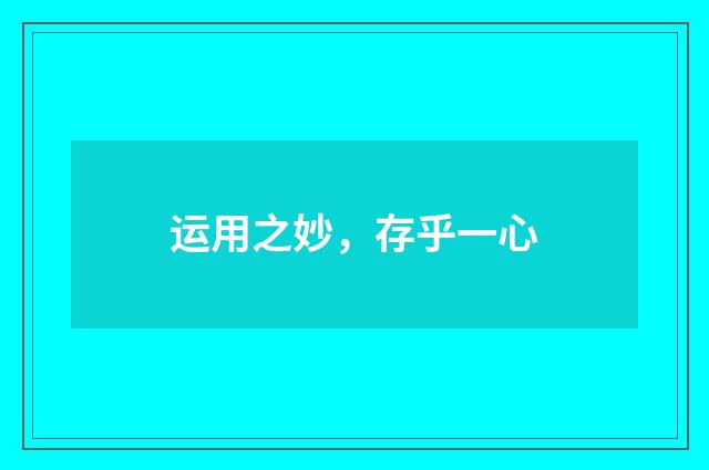 运用之妙，存乎一心