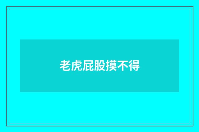 老虎屁股摸不得