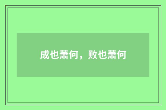 成也萧何，败也萧何