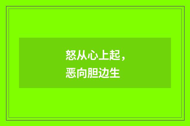 怒从心上起，恶向胆边生