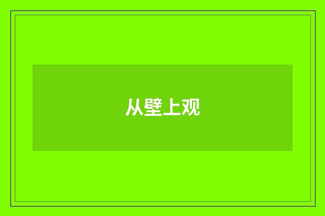 从壁上观