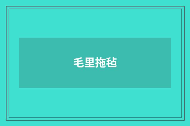 毛里拖毡