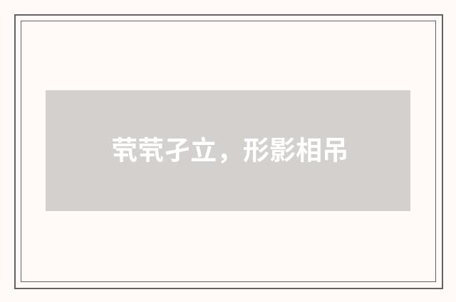 茕茕孑立,形影相吊