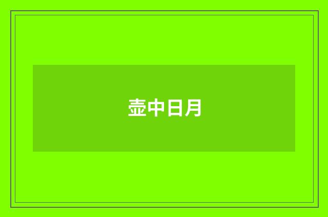 壶中日月