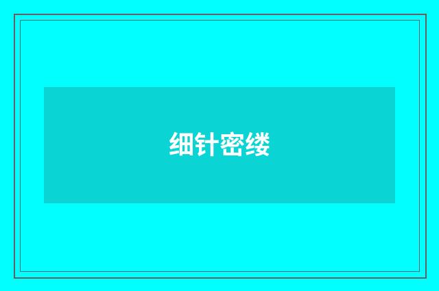 细针密缕