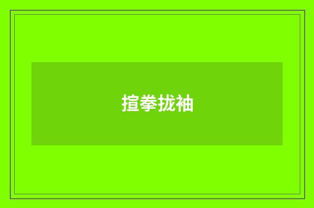 揎拳拢袖