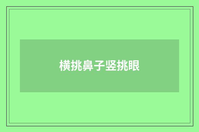 横挑鼻子竖挑眼