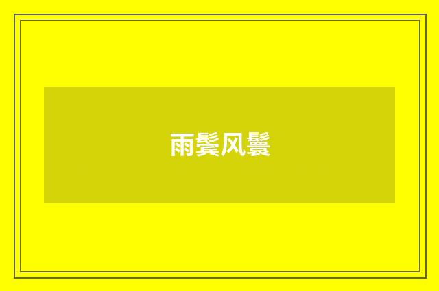 雨鬓风鬟