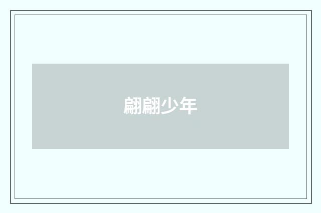 翩翩少年