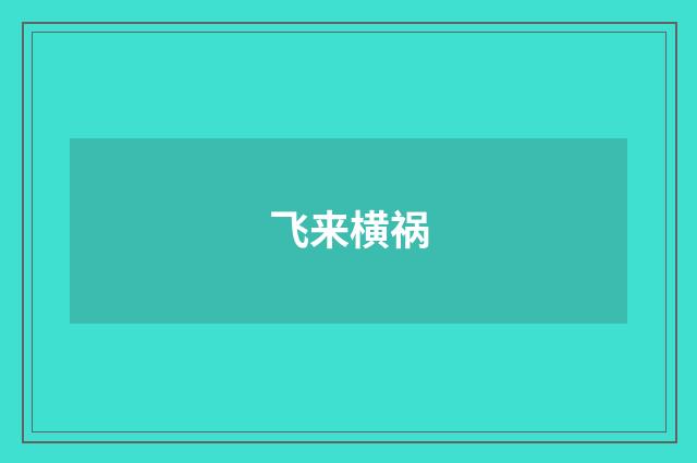飞来横祸