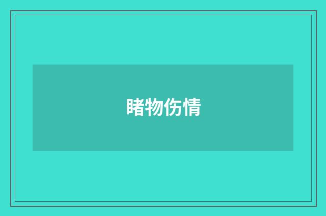 睹物伤情