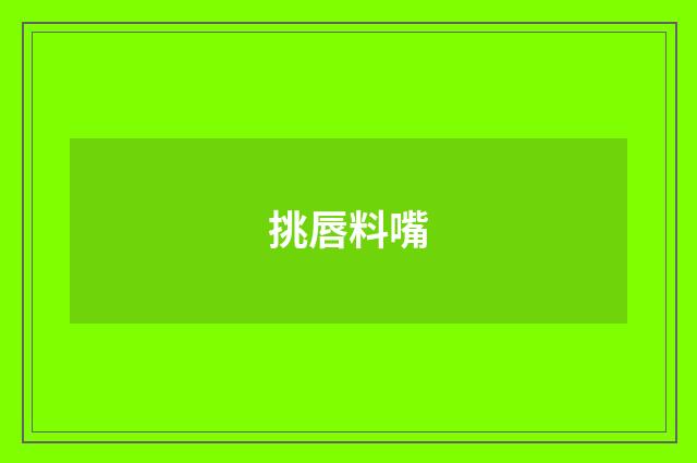 挑唇料嘴