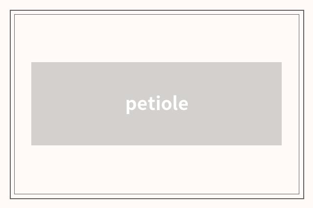 petiole