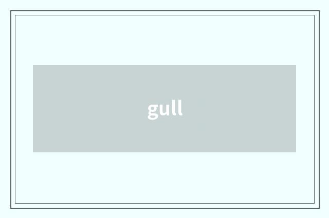 gull