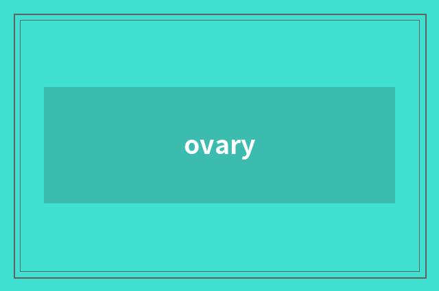 ovary