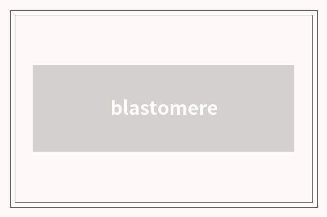blastomere