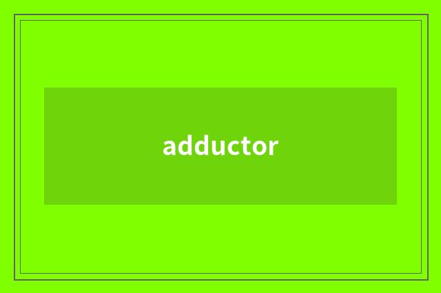 adductor