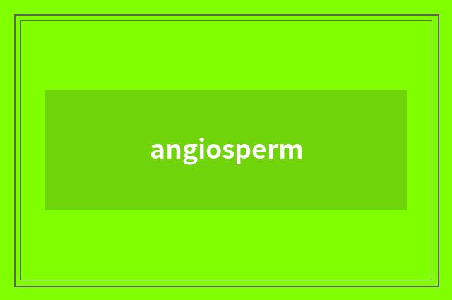 angiosperm
